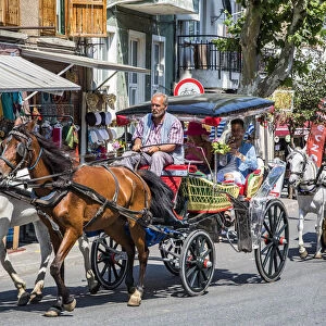 A horse carriage carrying visitors on the island of Büyükada, one of the Princes` Islands near Istanbul, Turkey