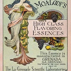 Advertising Postcard for Moaloofs High Class Flavoring Essences. ca. 1917, Moaloofs High Class Flavoring Essences. This Essence is manufactured in Grenada (La-Grenade) the Star of the West Indies, only by The La-Grenade Scientific Laboratories. P. H. Moaloof & Co. Grenada, B. W. I. Lemon, Bergamot, Lime, and Orange. La-Grenade, W. I. (trademark)