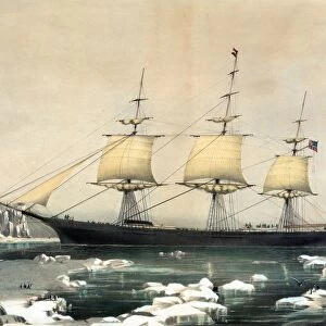 American clipper ship Red Jacket in the ice off Cape Horn, on her passage