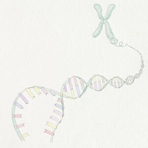 Artwork of DNA structure