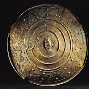 Bronze shield from Nackhalle, Sweden
