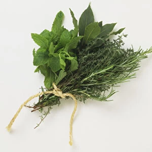 Bunch of mint, bay, thyme, and rosemary