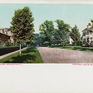 Chevy Chase, Washington, D. C. Postcard. 1904, Chevy Chase, Washington, D. C. Postcard