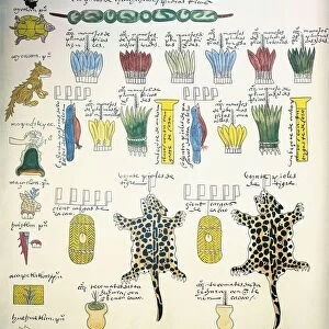 Codex Mendoza, reproduction of page with illustration of taxes paid to Aztec rulers by subject peoples