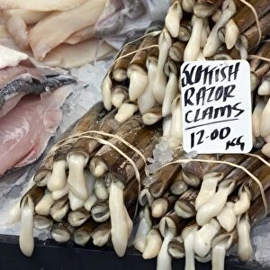 England, London, Borough Market, variety of fish on stall, including haddock fillets and Scottish razor clams