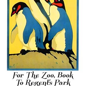 England / UK: Holiday Attractions - For the Zoo, Book to Regents Park or Camden Town, by Charles Paine (1895 - 1967), Underground Electric Railway Company, London, 1921
