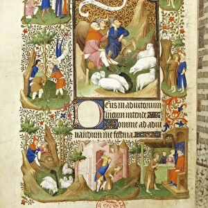 France, The annunciation to the shepherds, miniature from the manuscript Breviary 469 (folio 56), 1410-15