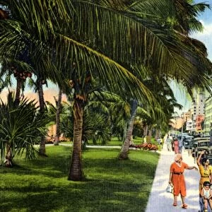 Hotel Row, Facing Lummus Park, Miami Beach, Florida