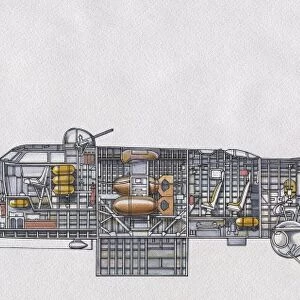 Interior sectioned view of B-17G Flying Fortress Bomber, c. 1943