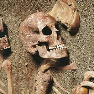 Italy, Liguria Region, Balzi Rossi, Barma Grande Cave, triple burial, Cro-Magnon type skeleton detail