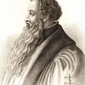Johannes a Lasco or Jan Laski (c1499-1560) Polish Reformation Protestant divine