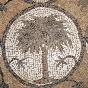 Jordan, Petra, Byzantine church, pavement mosaic with detail of tree