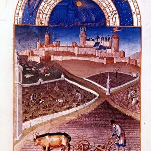 March. From Les Tres Riches Heures de Duc de Berry. Ox-drawn wheeled plough, foreground