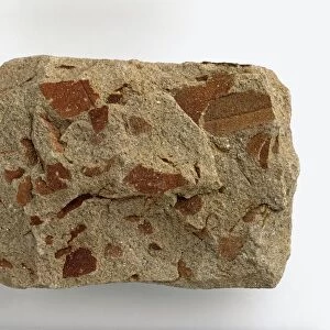 Micaceous sandstone with patches of iron oxide on surface