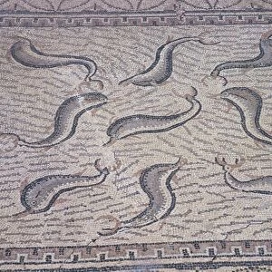 Morocco, North of Meknes, Volubilis, House of Orpheus, mosaic with nine dolphins, Roman Empire from 1st century ad