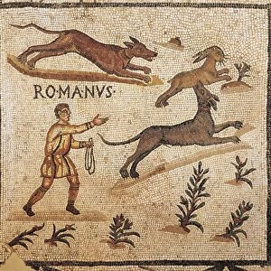 Mosaic floor depicting hare hunting scenes