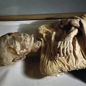 Mummy of Merenptah, detail