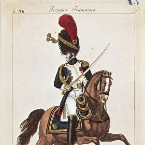 Napoleon Era soldier, Imperial guard, horseback grenadier officer