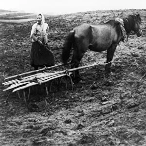 A peasant woman with horse tilling the soil on a farm in voronovo village on the volga in pre-revolutionary russia, 1900