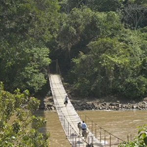 Peru, Moyobamba, River Mayo, a woman and a man with two animals crossing footbridge
