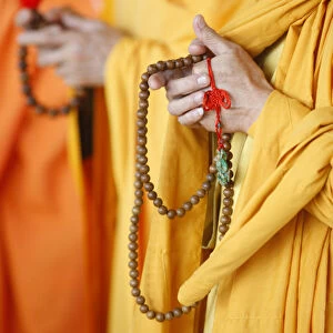 Praying Buddhist monks