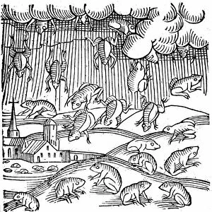 Rain of frogs recorded in 1355. From Conrad Lycosthenes Prodigiorum ac ostentorum chronicon