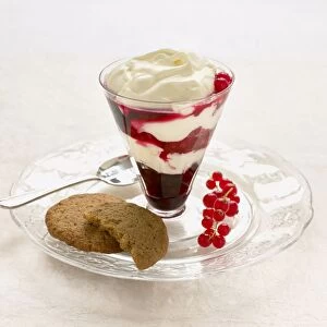 Red and blackcurrant fool served in dessert glass with amaretti biscuits