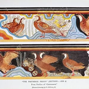 Reproduction of fresco of Partridges from Palace of Minos at Knossos by Sir Arthur John Evans, Volume II, frontispiece, London, 1921