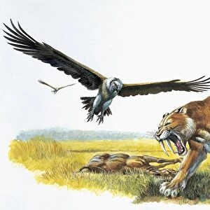 Saber tooth tiger with prehistoric birds