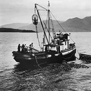 Salmon fishermen working on a boat, British Columbia