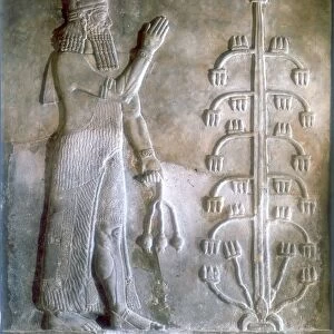 Sargon I, king of Mesopotamia who reigned c2334-c2279 BC. Founder of the Akkadian Semitic dynasty