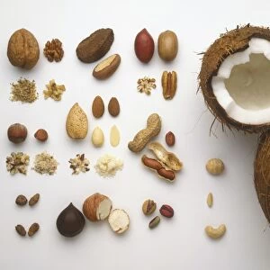 Selection of nuts, including coconut, walnut, brazil nut, pecan nut, almond, filbert, peanut, pistachio nut, chufa nut, tigernut, in and out of shells, whole, sliced, and chopped