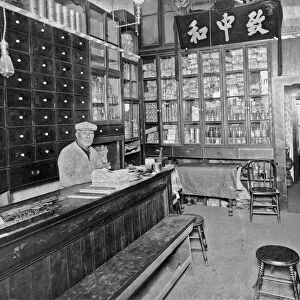 SF Chinese Apothecary