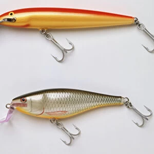 Above shot of two deep-diving lures for catching zander and walleye fish
