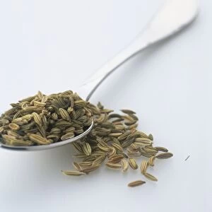 Silver spoon containing fennel seeds