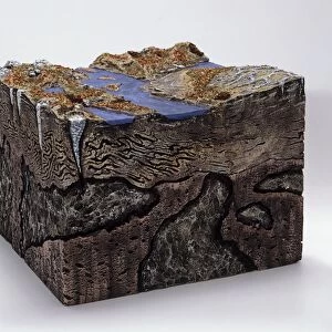 Topographical model of a tundra landscape above and below the ground