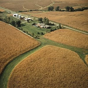 USA, Illinois, Aerial view of wheat fields and farm near Peoria