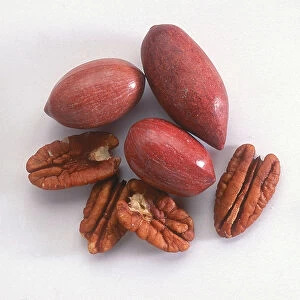 Walnuts, hazelnuts, pecan nuts, brazil nuts, pistachios and almonds