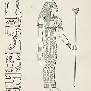 Ancient egyptian hieroglyph of Nut goddess of the sky