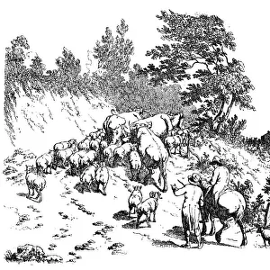 Antique illustration of flock climbing uphill