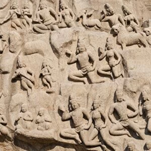 Bas-relief Descent of the Ganges, Mahabalipuram, Mamallapuram, Tamil Nadu, Kanchipuram, India