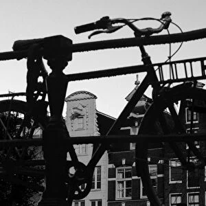 A Bicycle Culture That Moves Amsterdam