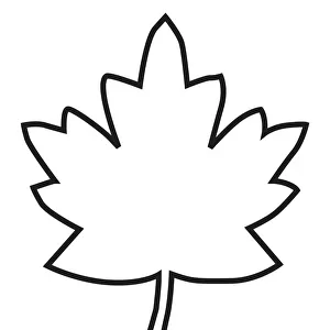 Black and white digital illustration of maple leaf outline