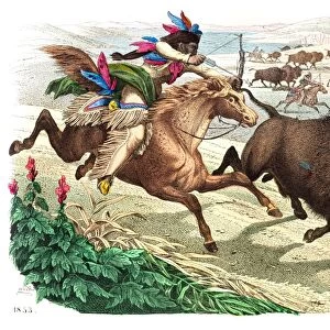 Buffalo hunting engraving 1853