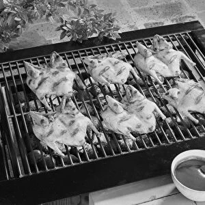 Chicken on barbecue grill