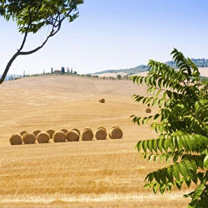 Countryside near Gallina, Siena province, Tuscany, Italy