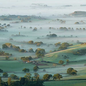 Dawn mist on Somerset Levels