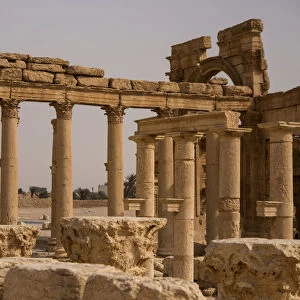 Decumanus Maximus, Palmyra