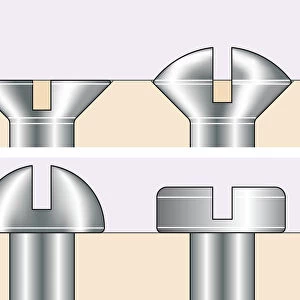 Digital illustration countersunk, raised, round, and pan screw, heads