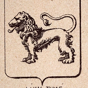 Escutcheon, or heraldic shield, feature the Lion pose, Heraldry